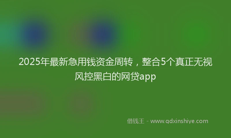 2025年最新急用钱资金周转，整合5个真正无视风控黑白的网贷app