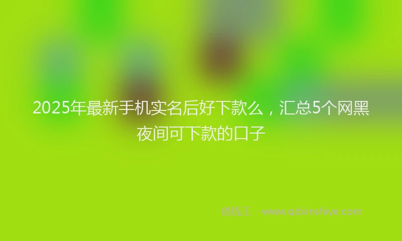 2025年最新手机实名后好下款么，汇总5个网黑夜间可下款的口子