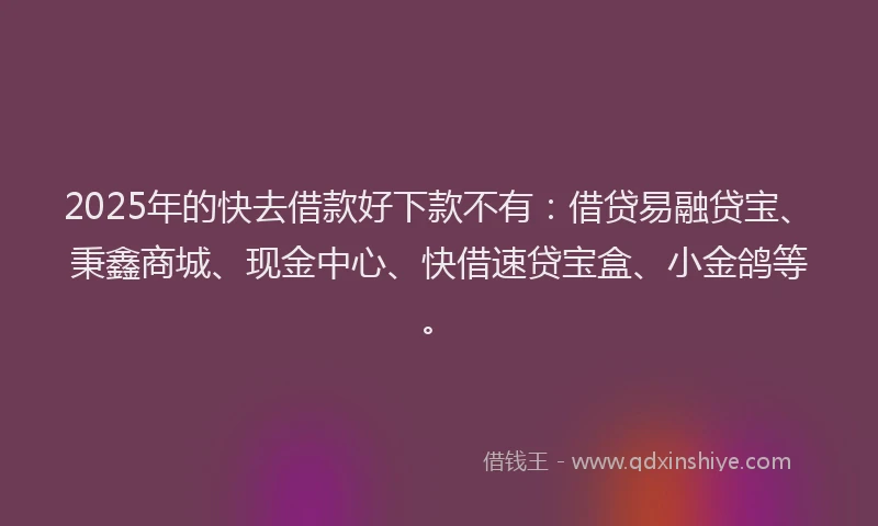 2025年的快去借款好下款不有：借贷易融贷宝、秉鑫商城、现金中心、快借速贷宝盒、小金鸽等。