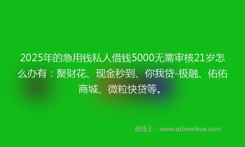 2025年的急用钱私人借钱5000无需审核21岁怎么办有：聚财花、现金秒到、你我贷-极融、佑佑商城、微粒快贷等。
