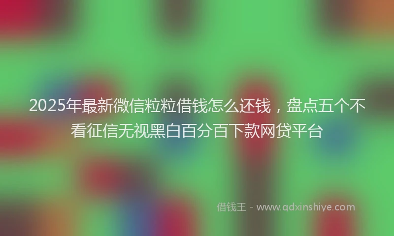 2025年最新微信粒粒借钱怎么还钱，盘点五个不看征信无视黑白百分百下款网贷平台