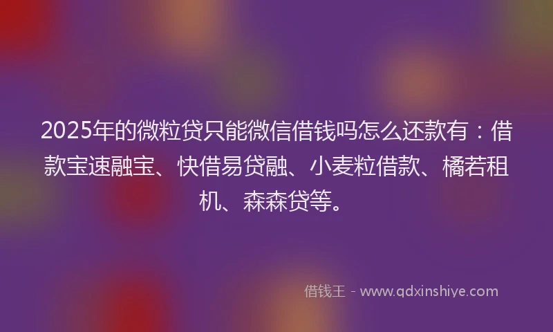 2025年的微粒贷只能微信借钱吗怎么还款有：借款宝速融宝、快借易贷融、小麦粒借款、橘若租机、森森贷等。