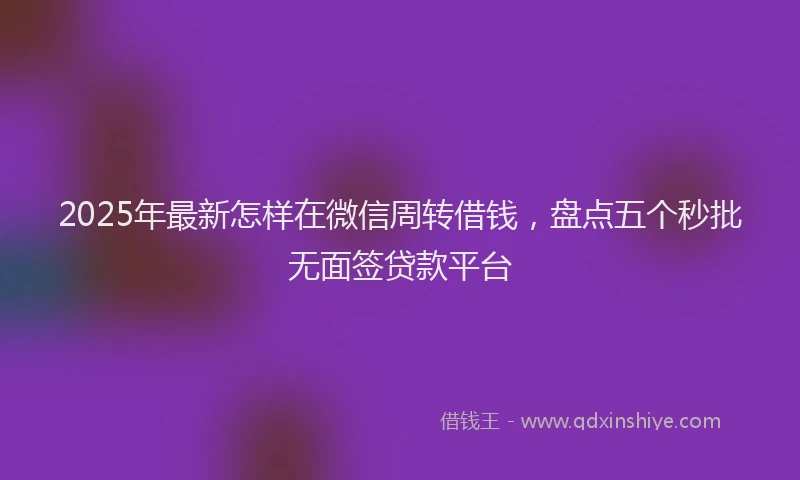 2025年最新怎样在微信周转借钱，盘点五个秒批无面签贷款平台