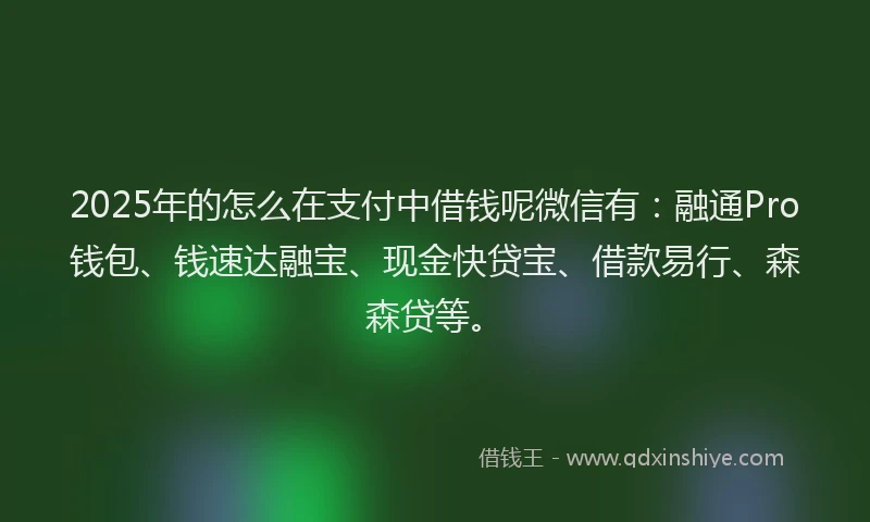 2025年的怎么在支付中借钱呢微信有：融通Pro钱包、钱速达融宝、现金快贷宝、借款易行、森森贷等。