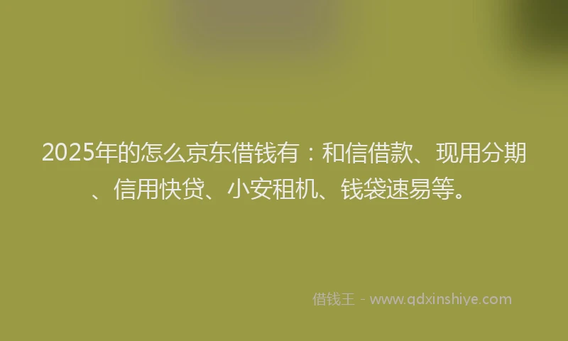 2025年的怎么京东借钱有：和信借款、现用分期、信用快贷、小安租机、钱袋速易等。