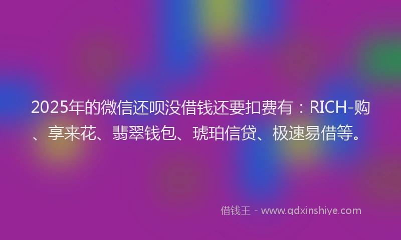 2025年的微信还呗没借钱还要扣费有：RICH-购、享来花、翡翠钱包、琥珀信贷、极速易借等。