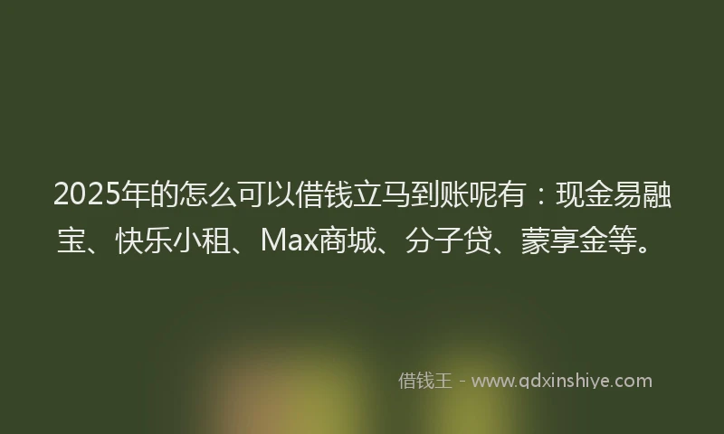 2025年的怎么可以借钱立马到账呢有：现金易融宝、快乐小租、Max商城、分子贷、蒙享金等。