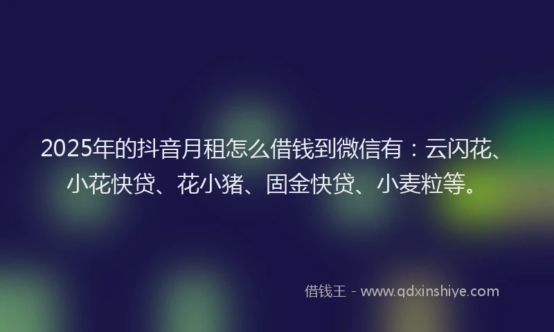 2025年的抖音月租怎么借钱到微信有：云闪花、小花快贷、花小猪、固金快贷、小麦粒等。