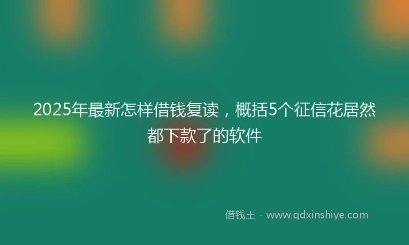 2025年最新怎样借钱复读，概括5个征信花居然都下款了的软件