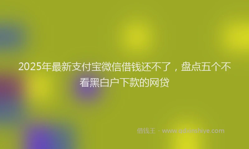 2025年最新支付宝微信借钱还不了，盘点五个不看黑白户下款的网贷