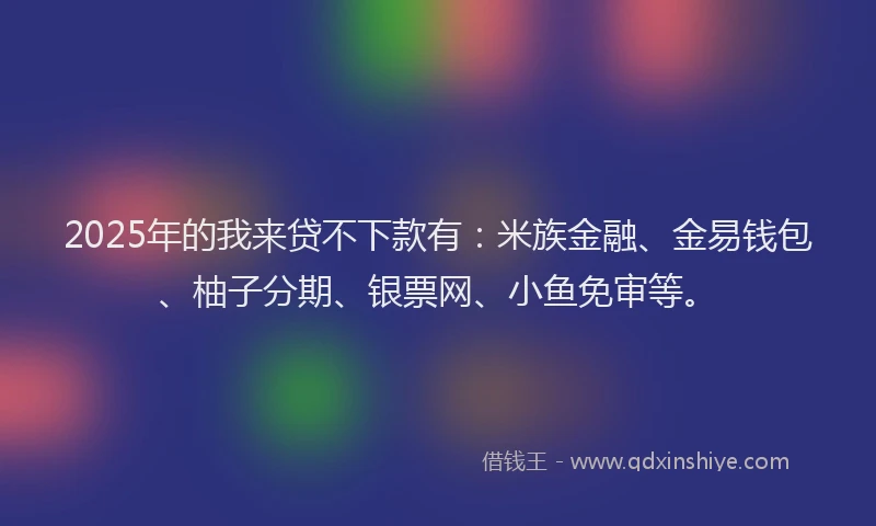 2025年的我来贷不下款有：米族金融、金易钱包、柚子分期、银票网、小鱼免审等。