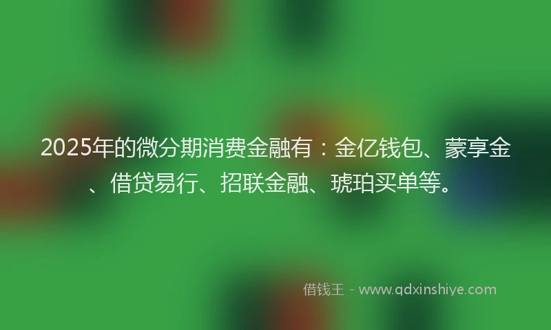 2025年的微分期消费金融有：金亿钱包、蒙享金、借贷易行、招联金融、琥珀买单等。