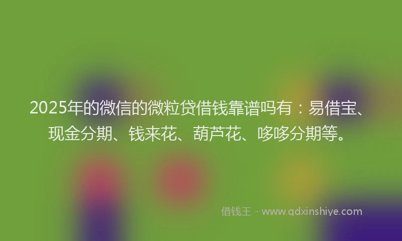 2025年的微信的微粒贷借钱靠谱吗有：易借宝、现金分期、钱来花、葫芦花、哆哆分期等。