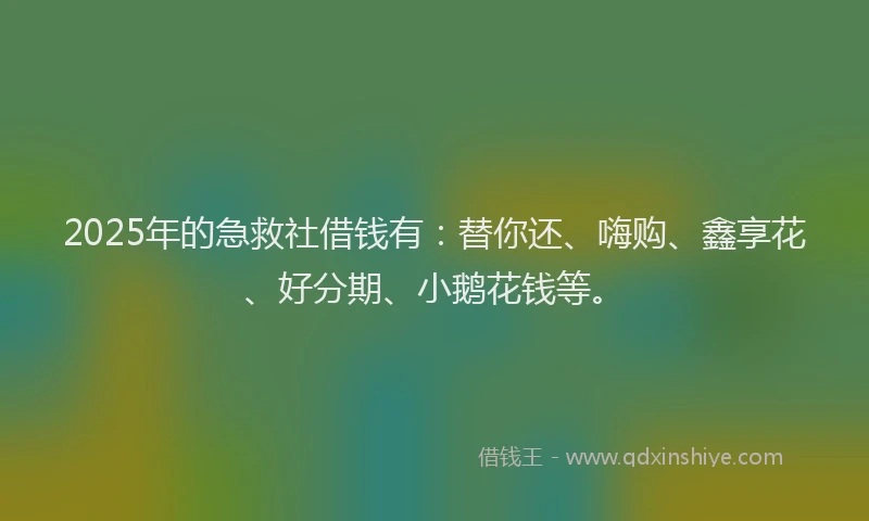 2025年的急救社借钱有：替你还、嗨购、鑫享花、好分期、小鹅花钱等。