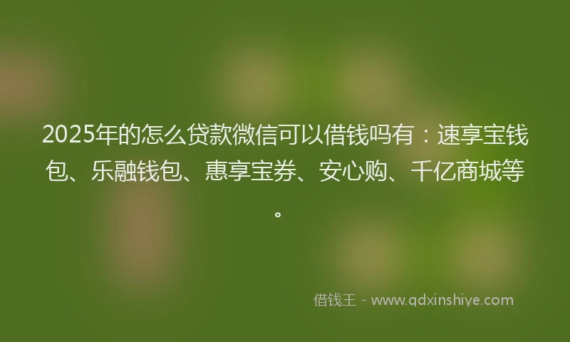 2025年的怎么贷款微信可以借钱吗有：速享宝钱包、乐融钱包、惠享宝券、安心购、千亿商城等。