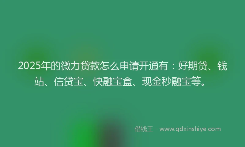 2025年的微力贷款怎么申请开通有：好期贷、钱站、信贷宝、快融宝盒、现金秒融宝等。