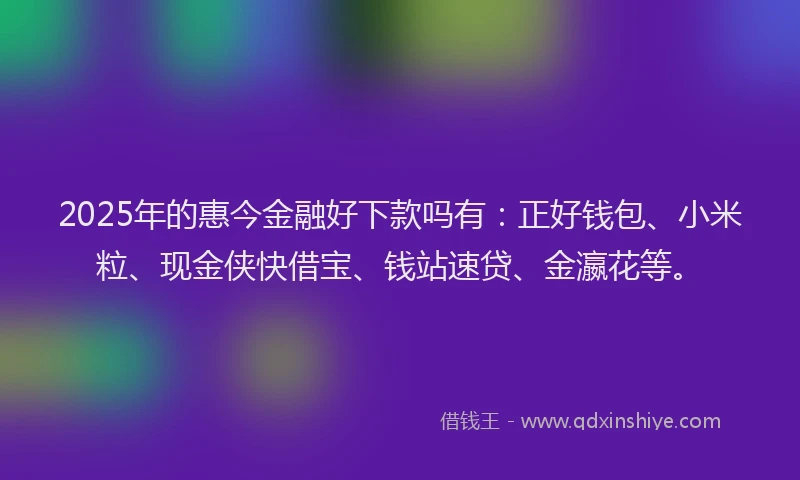 2025年的惠今金融好下款吗有：正好钱包、小米粒、现金侠快借宝、钱站速贷、金瀛花等。