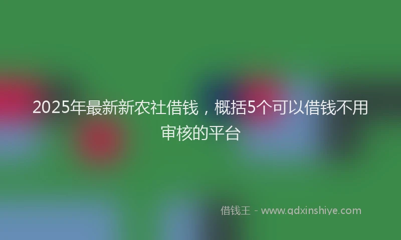 2025年最新新农社借钱，概括5个可以借钱不用审核的平台