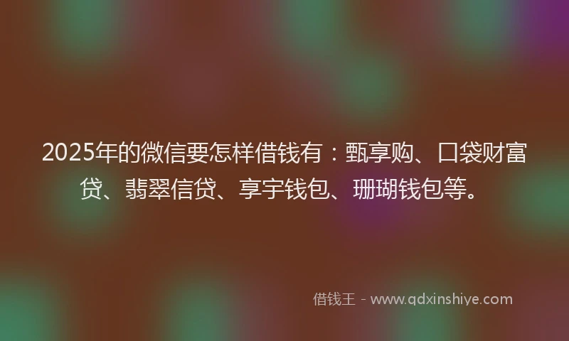 2025年的微信要怎样借钱有：甄享购、口袋财富贷、翡翠信贷、享宇钱包、珊瑚钱包等。