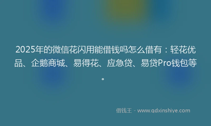 2025年的微信花闪用能借钱吗怎么借有：轻花优品、企鹅商城、易得花、应急贷、易贷Pro钱包等。