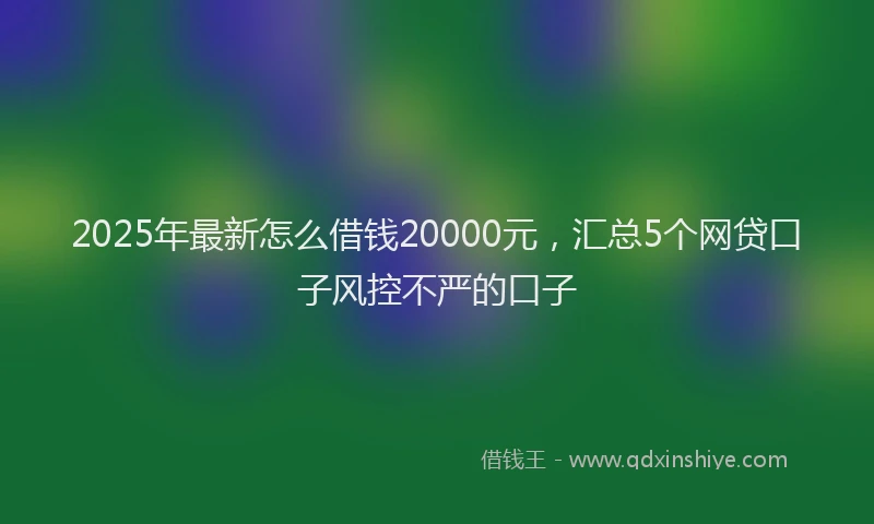 2025年最新怎么借钱20000元，汇总5个网贷口子风控不严的口子