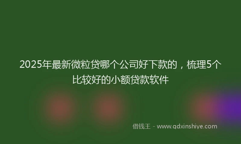 2025年最新微粒贷哪个公司好下款的，梳理5个比较好的小额贷款软件
