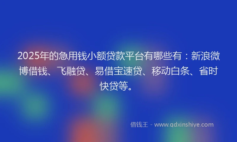 2025年的急用钱小额贷款平台有哪些有：新浪微博借钱、飞融贷、易借宝速贷、移动白条、省时快贷等。
