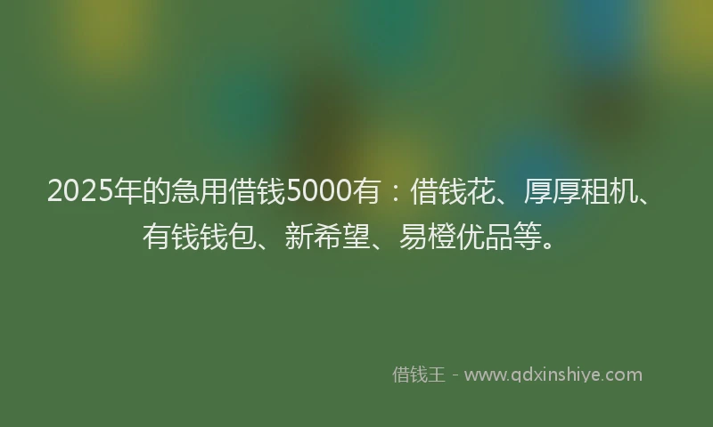 2025年的急用借钱5000有：借钱花、厚厚租机、有钱钱包、新希望、易橙优品等。