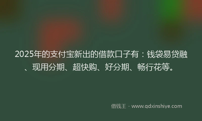 2025年的支付宝新出的借款口子有：钱袋易贷融、现用分期、超快购、好分期、畅行花等。
