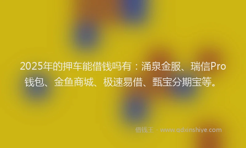 2025年的押车能借钱吗有：涌泉金服、瑞信Pro钱包、金鱼商城、极速易借、甄宝分期宝等。