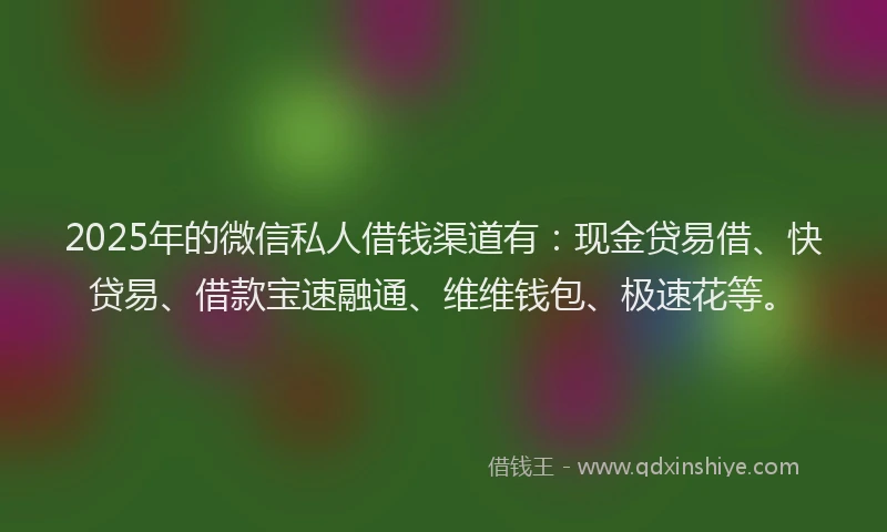 2025年的微信私人借钱渠道有：现金贷易借、快贷易、借款宝速融通、维维钱包、极速花等。