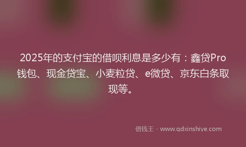 2025年的支付宝的借呗利息是多少有：鑫贷Pro钱包、现金贷宝、小麦粒贷、e微贷、京东白条取现等。