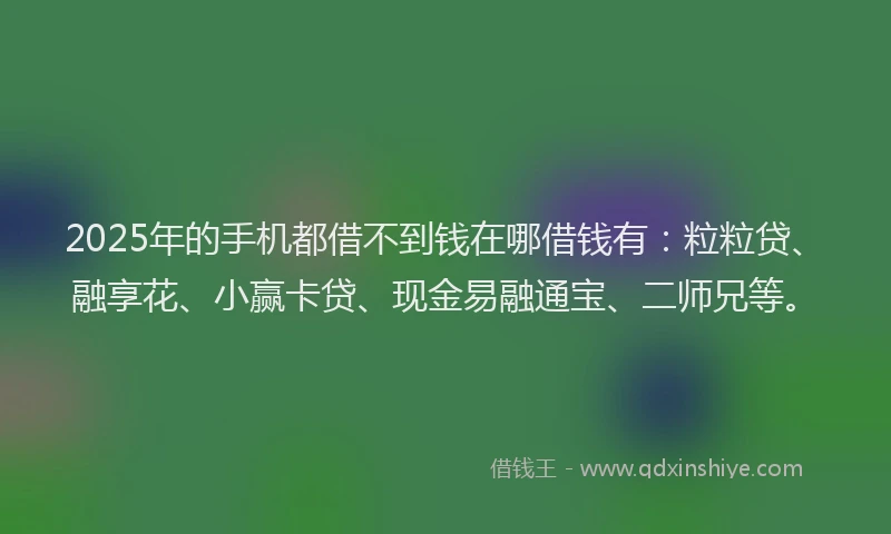 2025年的手机都借不到钱在哪借钱有：粒粒贷、融享花、小赢卡贷、现金易融通宝、二师兄等。