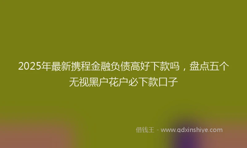 2025年最新携程金融负债高好下款吗，盘点五个无视黑户花户必下款口子