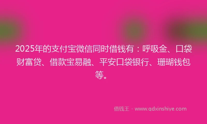 2025年的支付宝微信同时借钱有：呼吸金、口袋财富贷、借款宝易融、平安口袋银行、珊瑚钱包等。