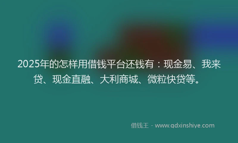 2025年的怎样用借钱平台还钱有：现金易、我来贷、现金直融、大利商城、微粒快贷等。