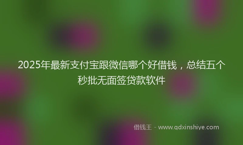 2025年最新支付宝跟微信哪个好借钱，总结五个秒批无面签贷款软件