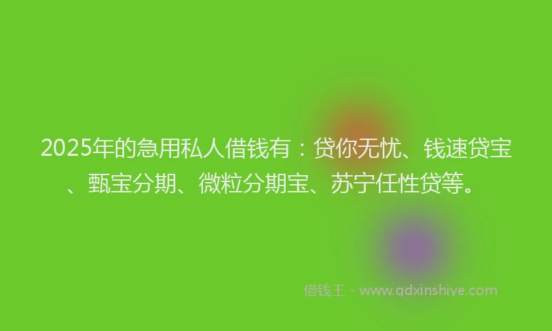 2025年的急用私人借钱有：贷你无忧、钱速贷宝、甄宝分期、微粒分期宝、苏宁任性贷等。