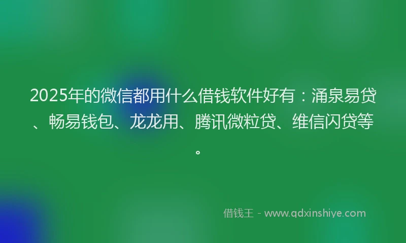 2025年的微信都用什么借钱软件好有：涌泉易贷、畅易钱包、龙龙用、腾讯微粒贷、维信闪贷等。