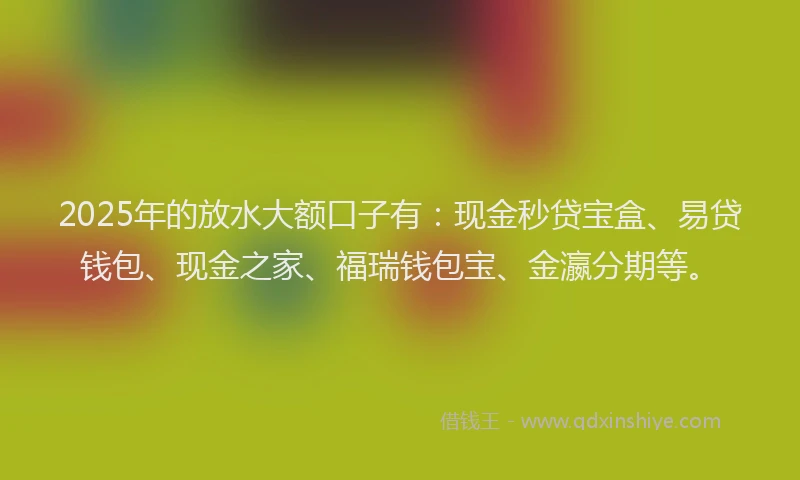 2025年的放水大额口子有：现金秒贷宝盒、易贷钱包、现金之家、福瑞钱包宝、金瀛分期等。