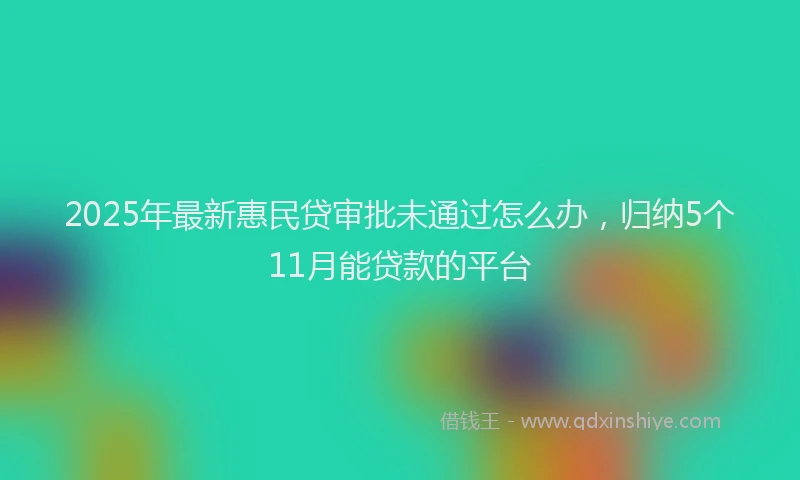2025年最新惠民贷审批未通过怎么办，归纳5个11月能贷款的平台
