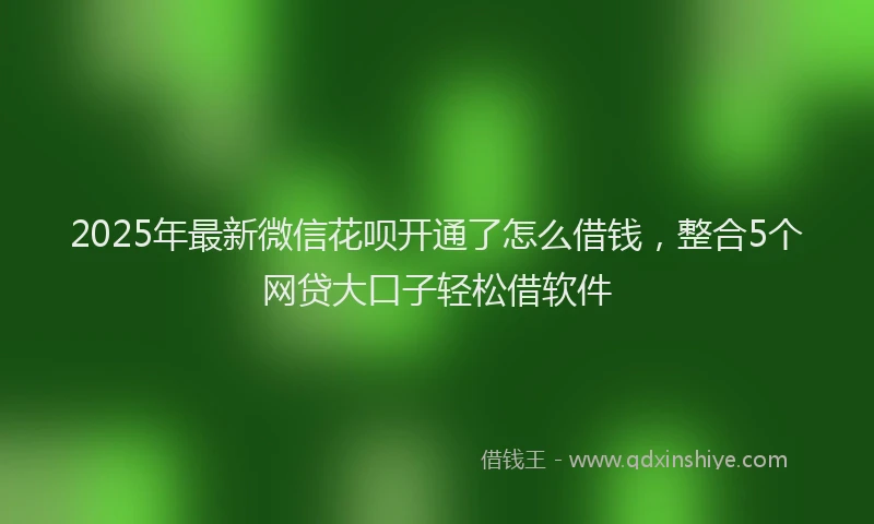 2025年最新微信花呗开通了怎么借钱，整合5个网贷大口子轻松借软件