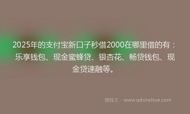 2025年的支付宝新口子秒借2000在哪里借的有：乐享钱包、现金蜜蜂贷、银杏花、畅贷钱包、现金贷速融等。