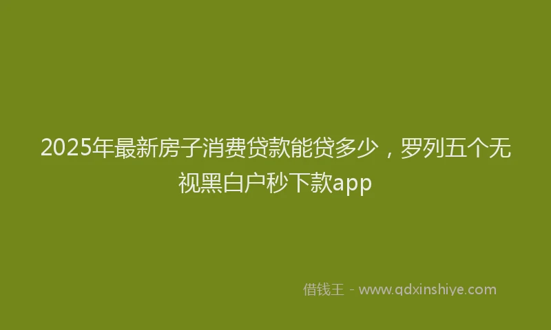 2025年最新房子消费贷款能贷多少，罗列五个无视黑白户秒下款app