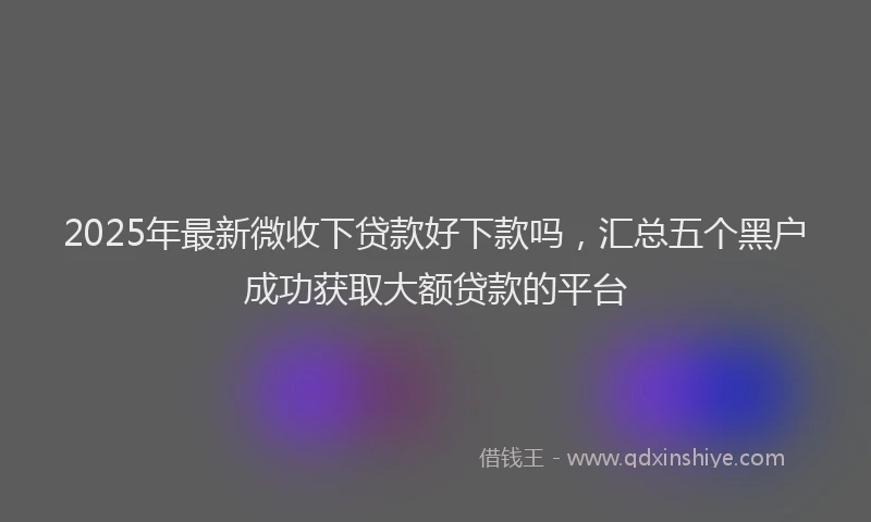 2025年最新微收下贷款好下款吗，汇总五个黑户成功获取大额贷款的平台
