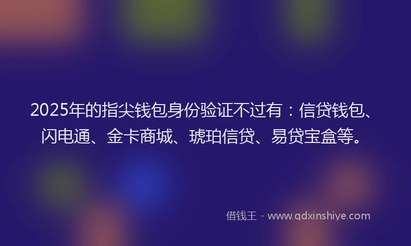 2025年的指尖钱包身份验证不过有：信贷钱包、闪电通、金卡商城、琥珀信贷、易贷宝盒等。
