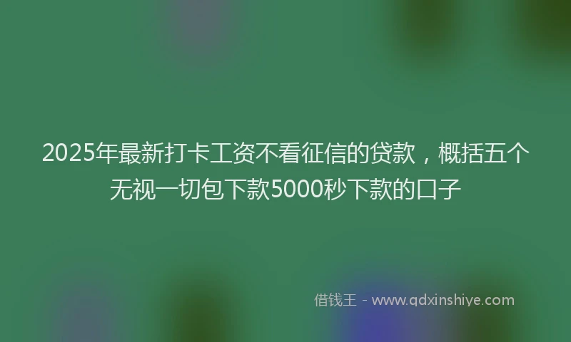 2025年最新打卡工资不看征信的贷款，概括五个无视一切包下款5000秒下款的口子