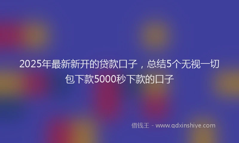 2025年最新新开的贷款口子，总结5个无视一切包下款5000秒下款的口子