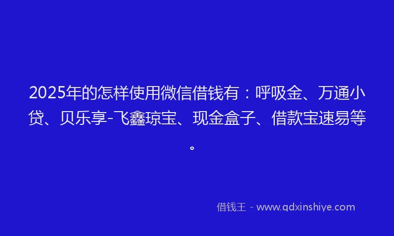 2025年的怎样使用微信借钱有：呼吸金、万通小贷、贝乐享-飞鑫琼宝、现金盒子、借款宝速易等。