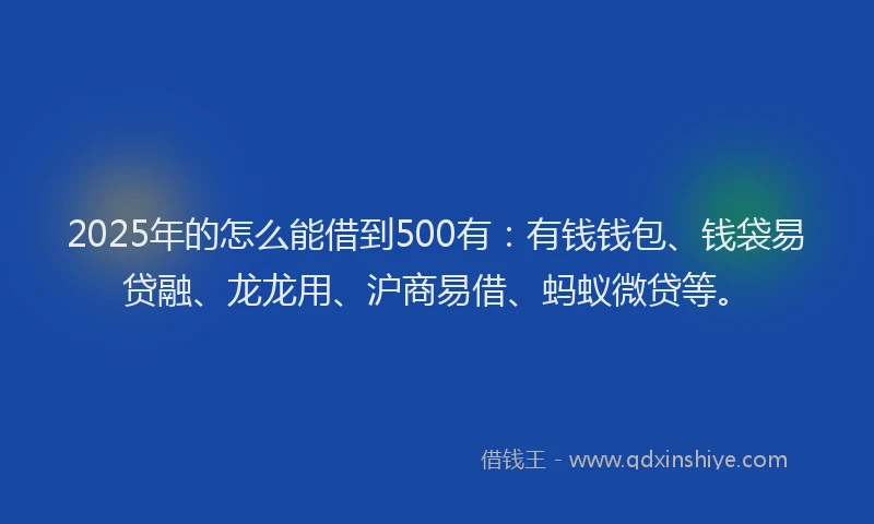 2025年的怎么能借到500有：有钱钱包、钱袋易贷融、龙龙用、沪商易借、蚂蚁微贷等。